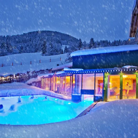 Berner ホテル ツェル アム ゼー